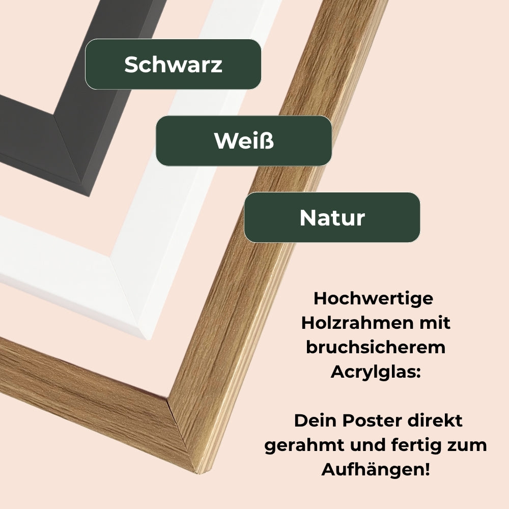 Dopamin Poster Set Nr. 2